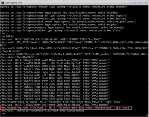 vCenter Failed to Start File System Check on Disk (VMware KB2149838)